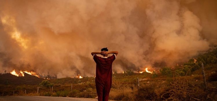 Criza climatica va avea un impact urias asupra economiilor tarilor africane