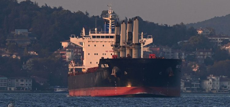 Rusia si Ucraina reinnoiesc acordul pentru exportul de cereale pentru a mentine preturile scazute