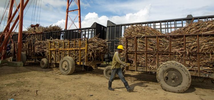SUA blocheaza importurile de zahar din Republica Dominicana, invocand munca fortata