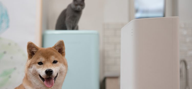 Xiaomi lanseaza cel mai bun hranitor automat inteligent pentru animalele de companie