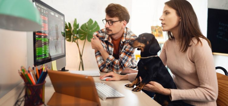10 tipuri de investitii si cum sa faci bani din ele 10 tipuri de investitii si cum sa faci bani din ele